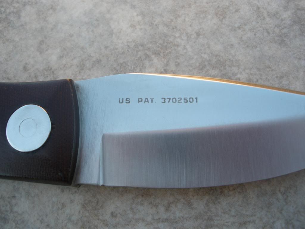 PB251176.jpg