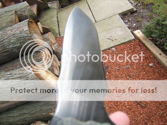 DSCF2052.jpg