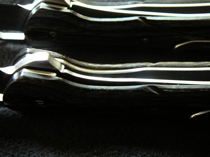 P1080068.jpg