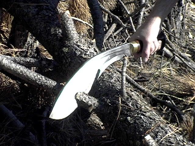 3Tarwar2logs003.jpg