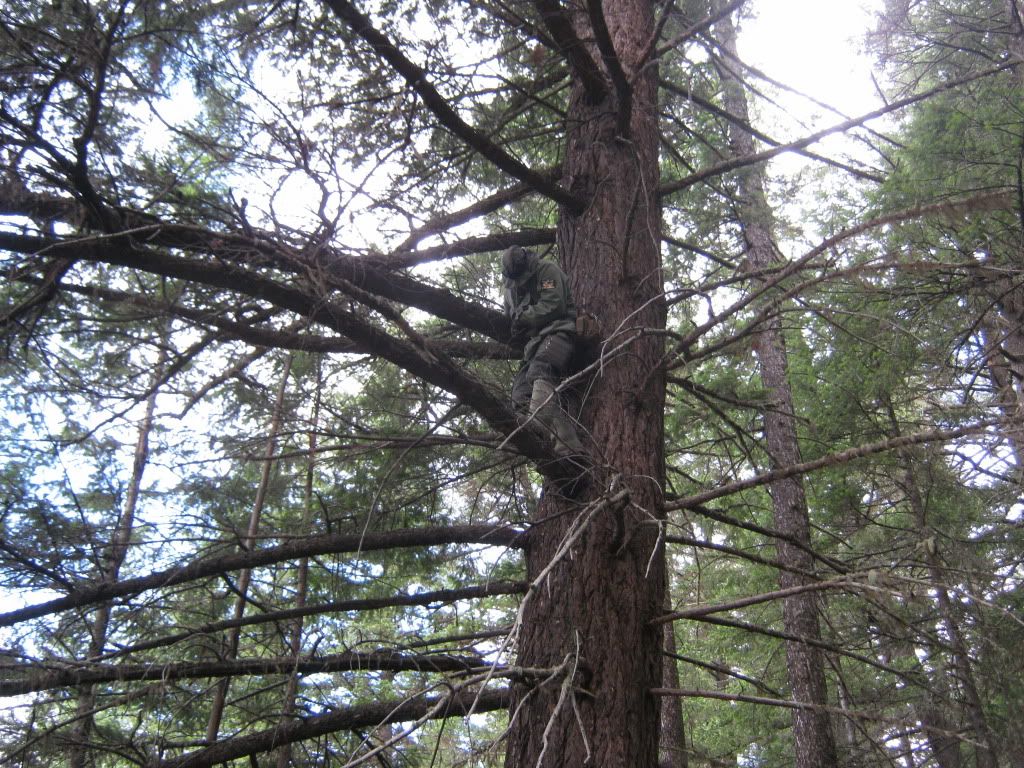 July032010070.jpg