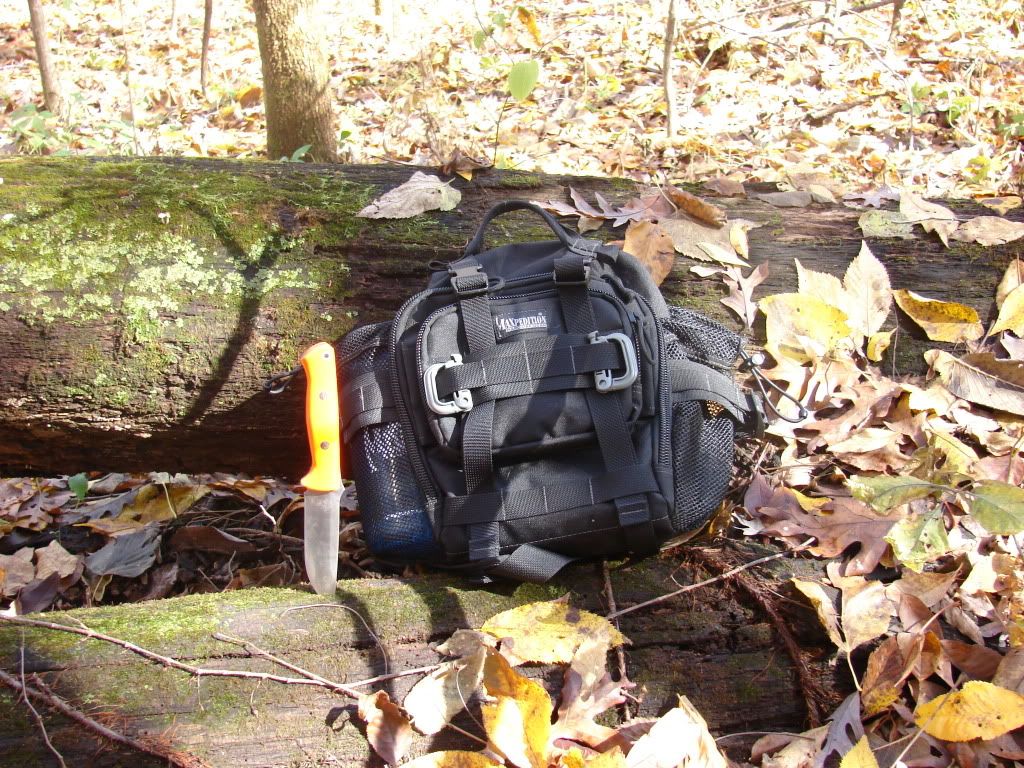 fall021.jpg