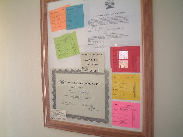 cert-1.jpg