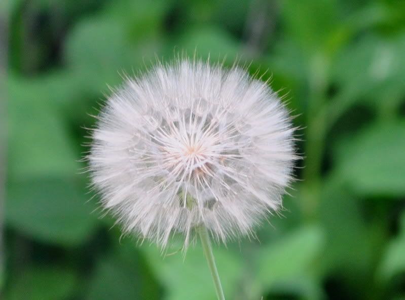 DSC_3275.jpg