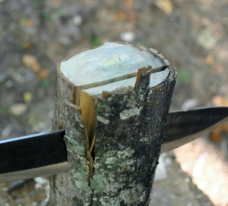 DSC_2309.jpg