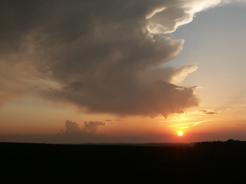 137368426_bwUD9-L.jpg
