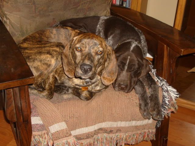 Picture062.jpg