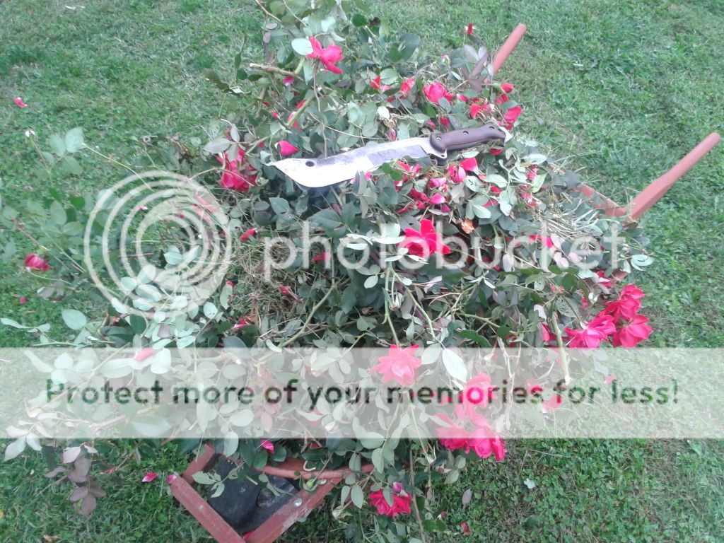 2012-10-05161037.jpg