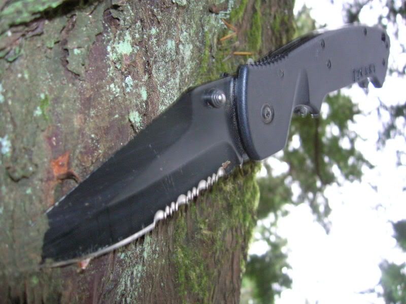 woodswalkingPicture025.jpg