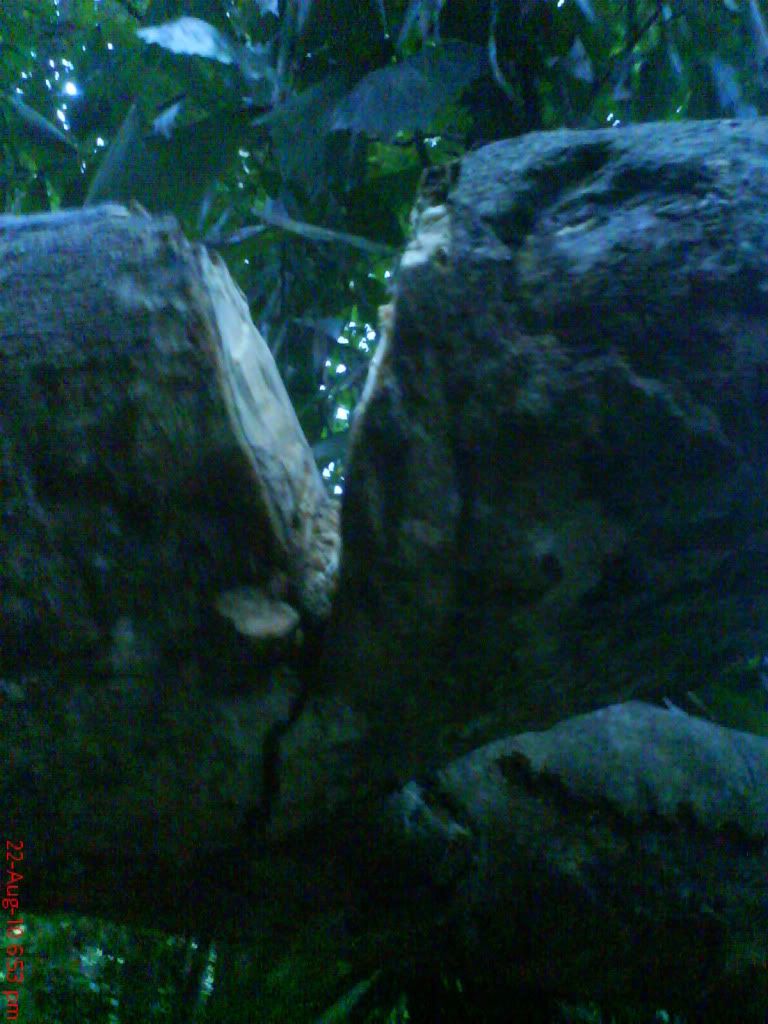 DSC01578.jpg
