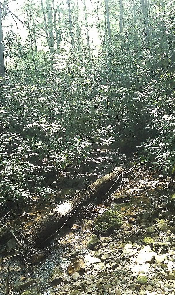 IMAG0167.jpg