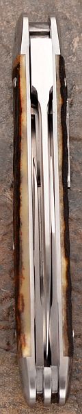 tbose-378stagwharncliffeLBW-proto-7.jpg