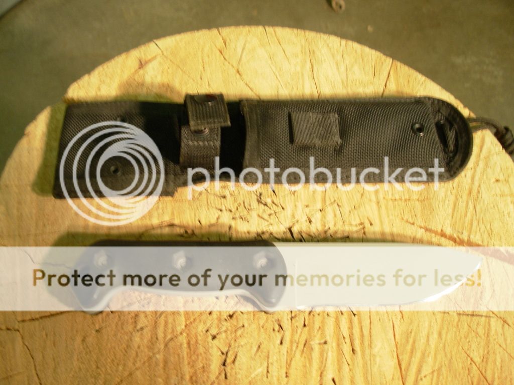 DSCN0289.jpg