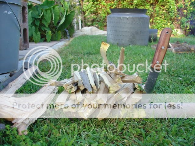DSC04645.jpg