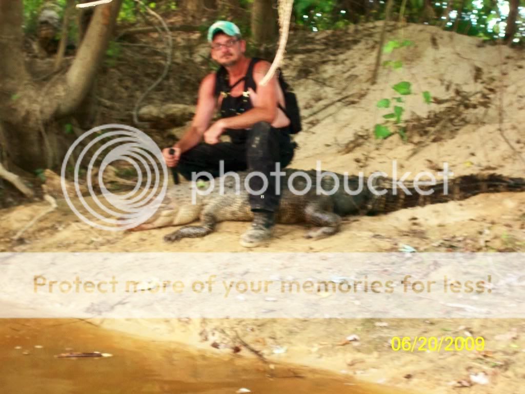 Gator12.jpg