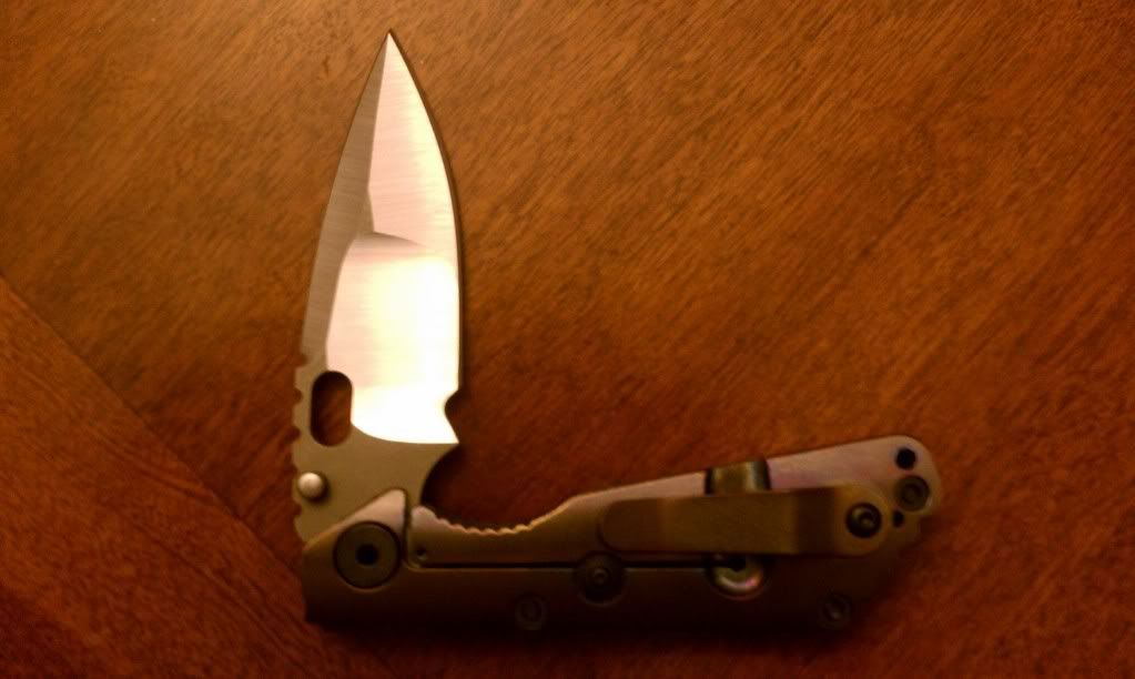 sng2.jpg