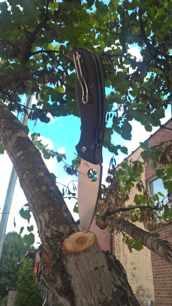 supertree_zpsdpungbwx.jpg