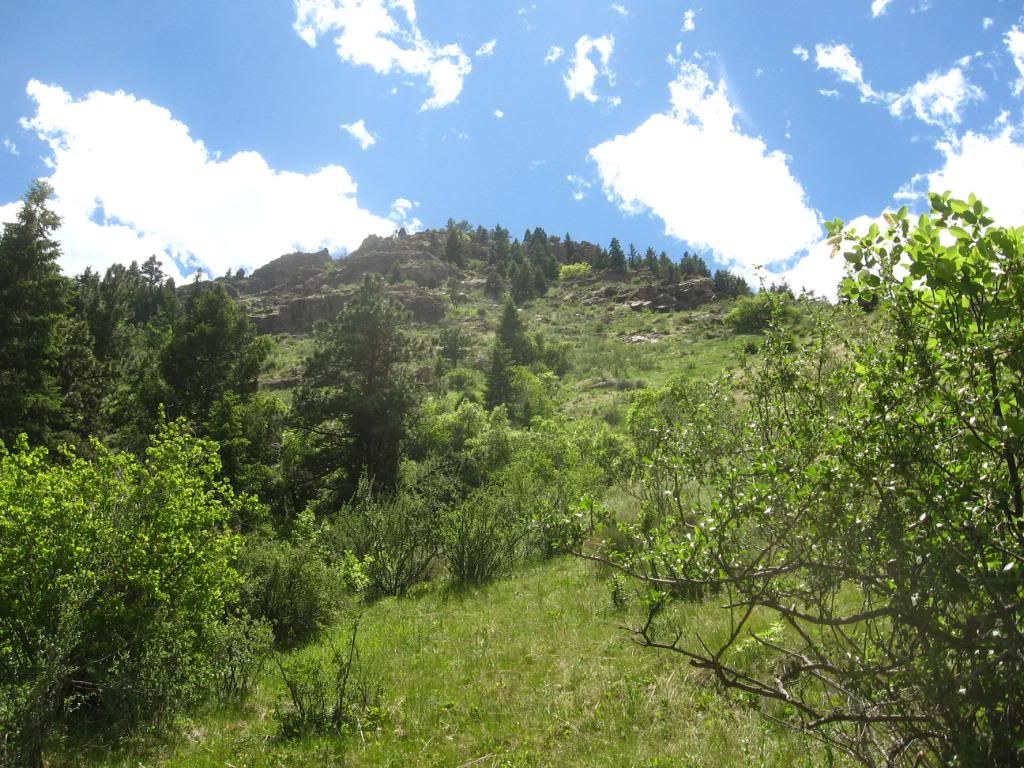IMG_5512.jpg