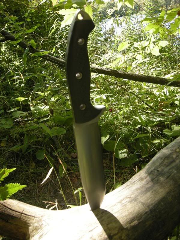 DSCN1525.jpg