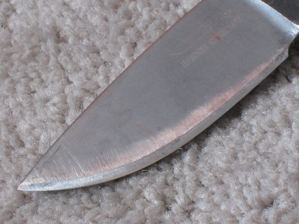 Picture516.jpg