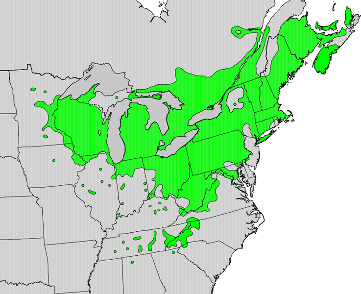 737px-Rhus_typhina_map.png