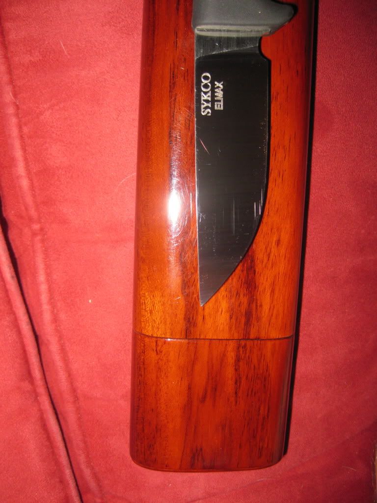 IMG_1563.jpg