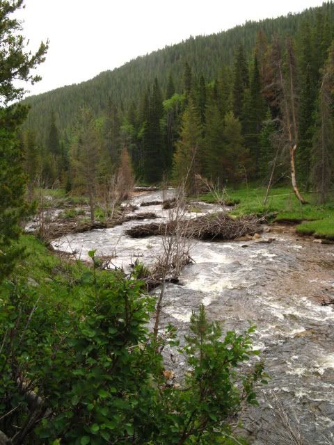 IMG_5771.jpg