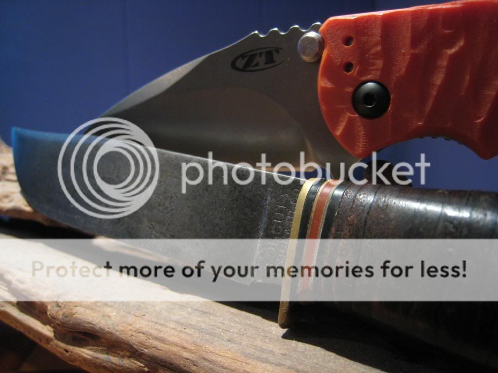 IMG_1089_zps3bb2a229.jpg