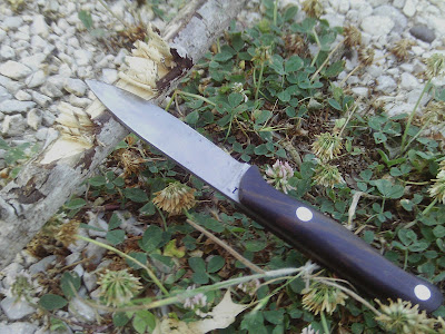 IMAG0177.JPG