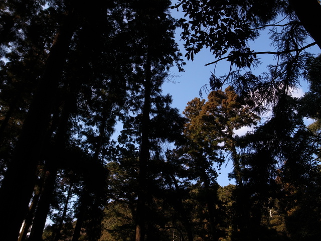 2013.01.02.R0016780.JPG