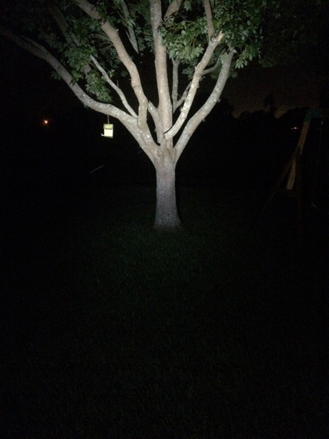 45f5e6bb8321aefc2750589c287c487b.jpg