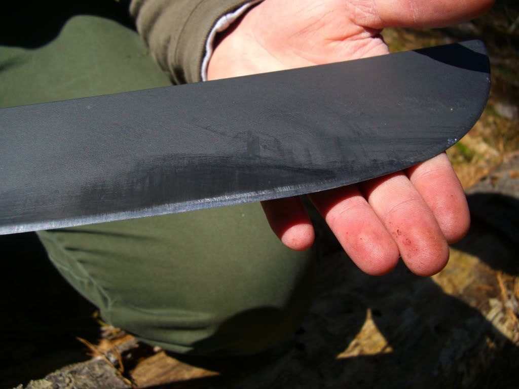 CIMG8951.jpg
