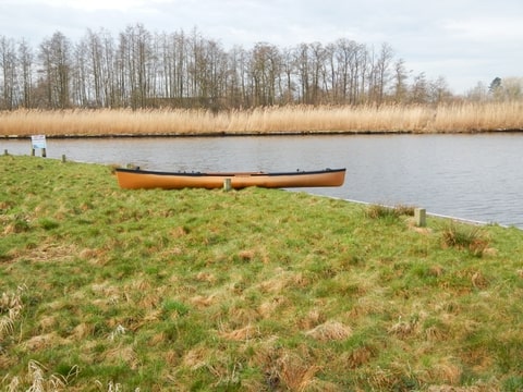 Foto-4GLGZMTK-D.jpg