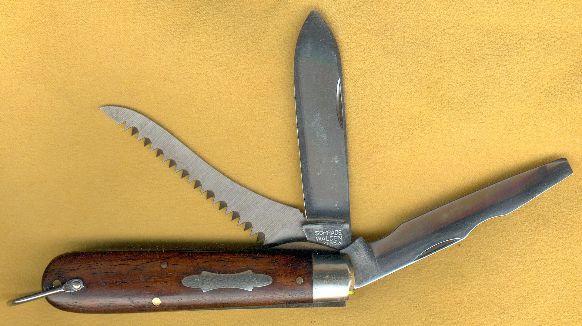 Tl-29-3BL.jpg