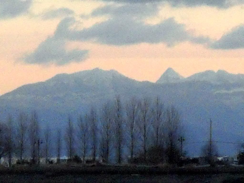 DSCN0262.jpg