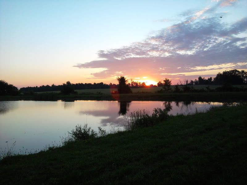 IMG_20110717_055605.jpg