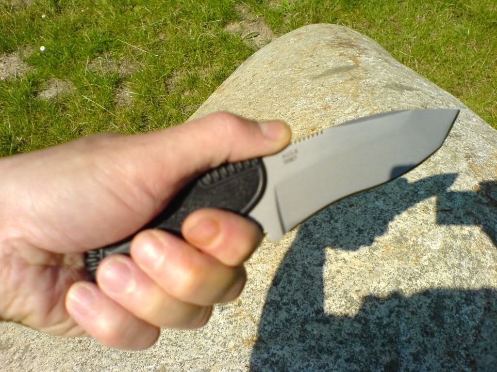 mptpegray5.jpg