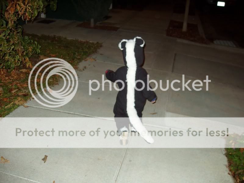 skunk.jpg