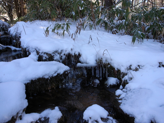 2008.12.02.R0017239.JPG