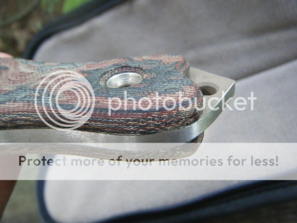 DSCF1659.jpg