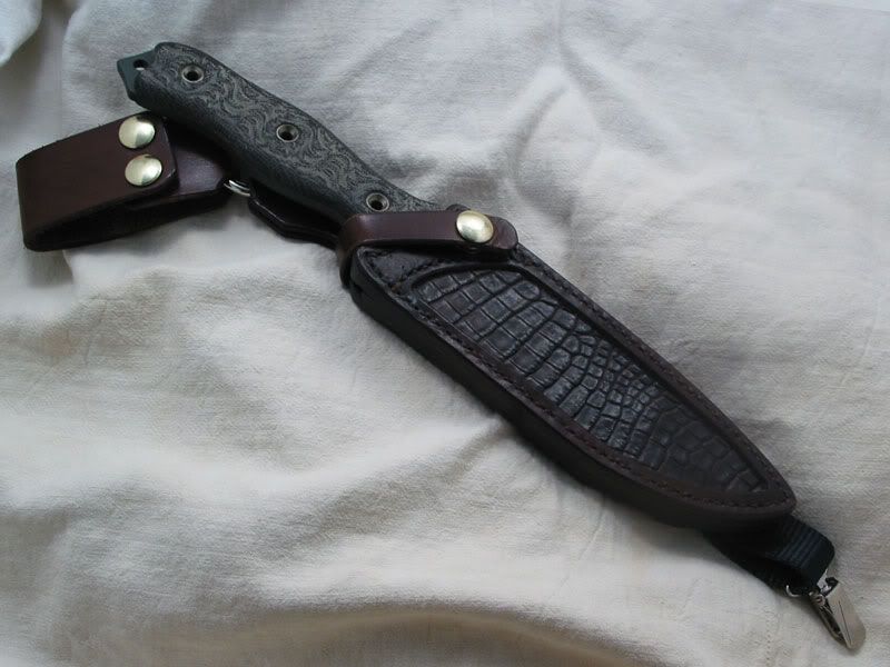 sjtac-and-gator1.jpg