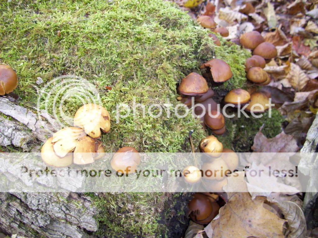 100_1662.jpg