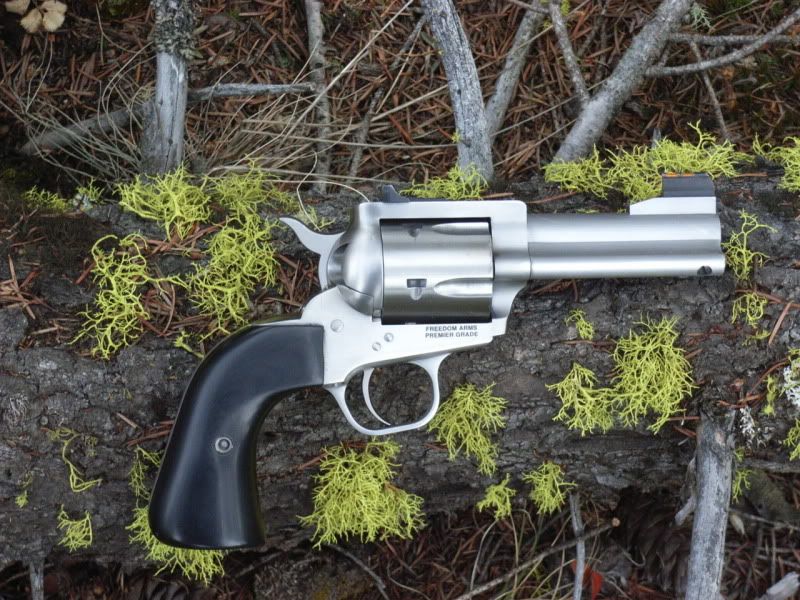 FA97RBMossyLog.jpg