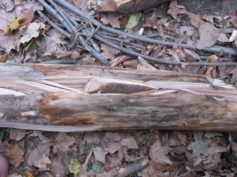 splitting14b.jpg