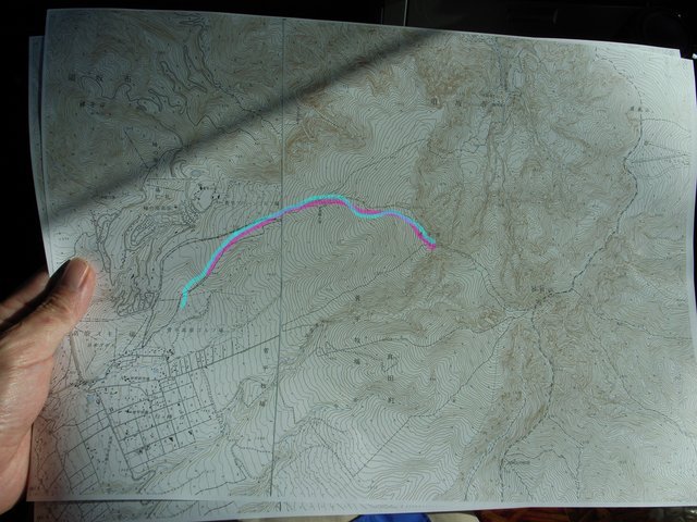 2010.03.20.r0020628.jpg