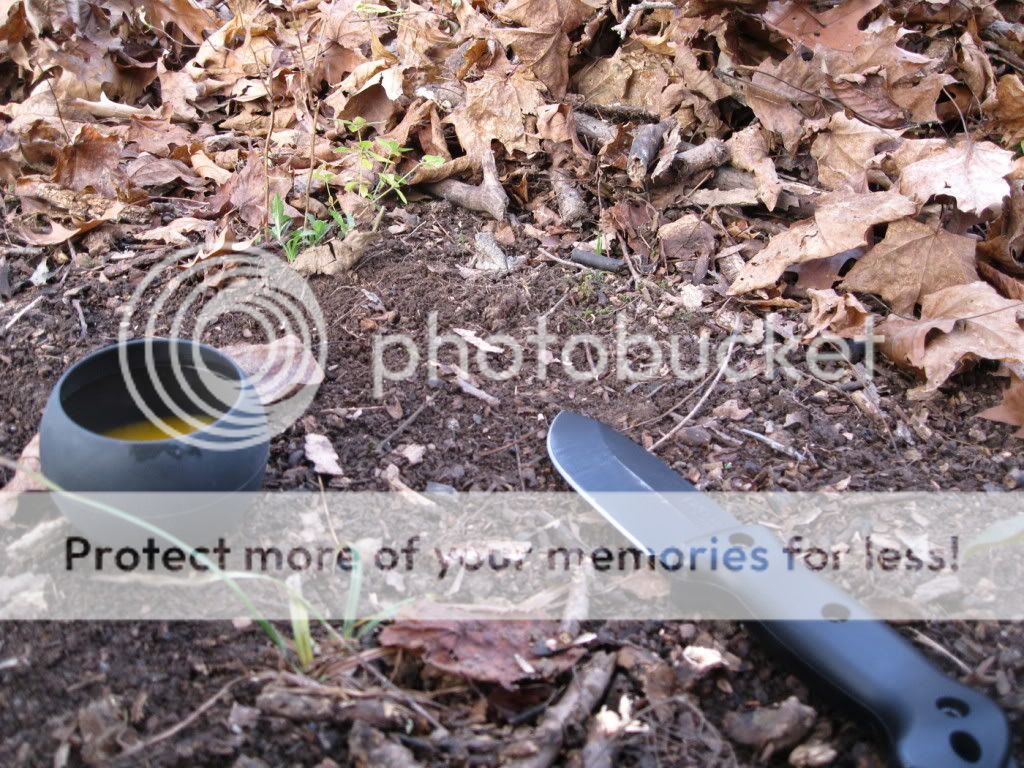 20111107_ac_IMG_0712.jpg