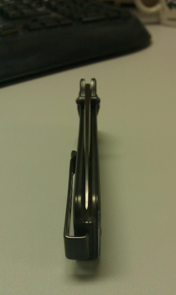 IMAG0606-Copy.jpg