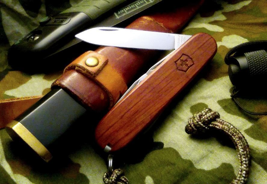 Spartan%20woody%2012-31-16_zps2zgkaw17.jpg