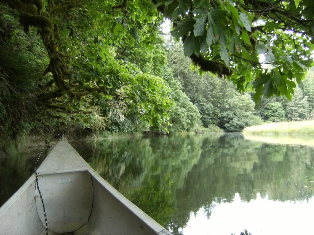 aug2010092.jpg