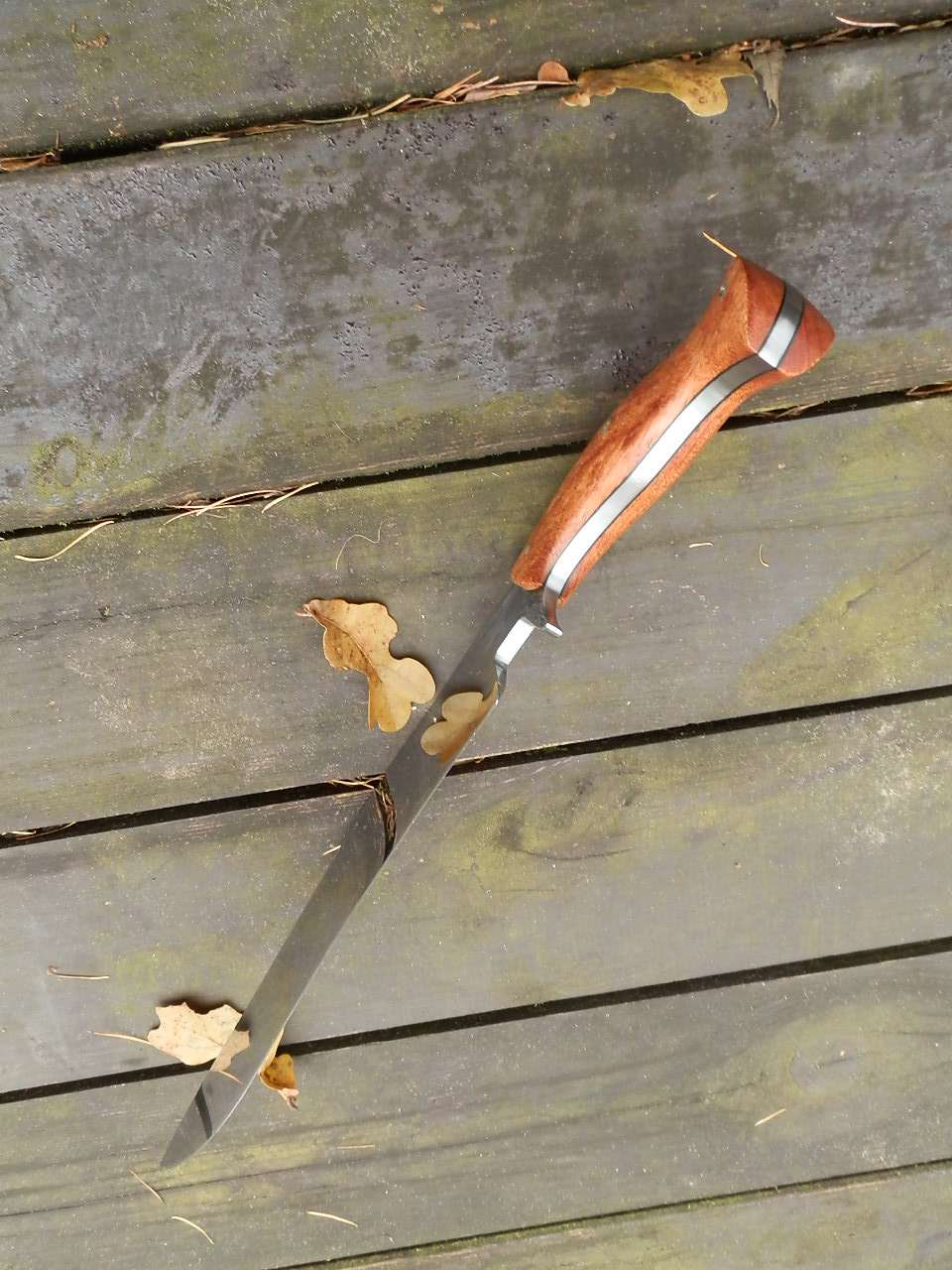 pb093994.jpg